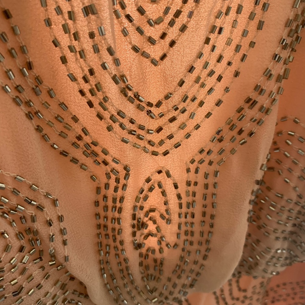 Blush Evening Own By Cache - image 3